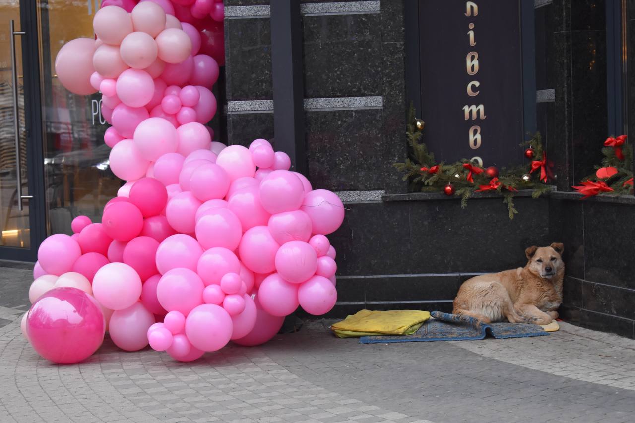 Ужгород напередодні Дня св. Валентина